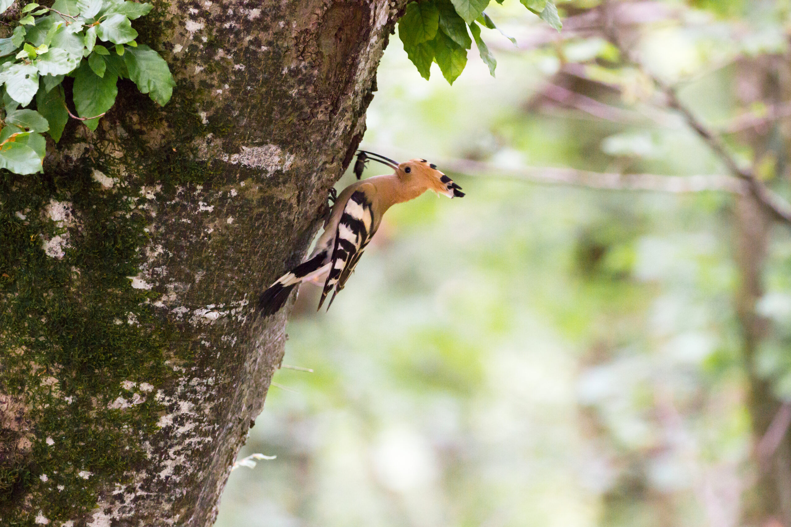 agroecologie 1 1 scaled.jpg