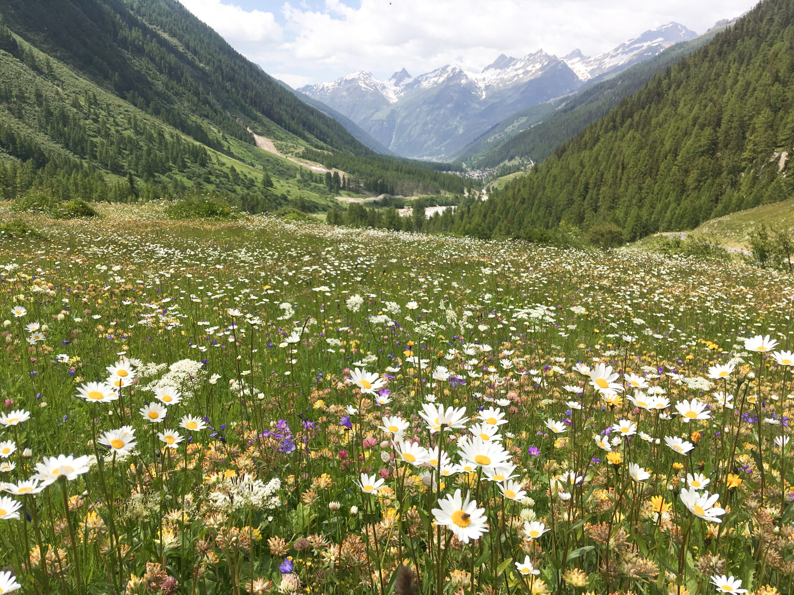 agroecologie 2 1 scaled.jpg