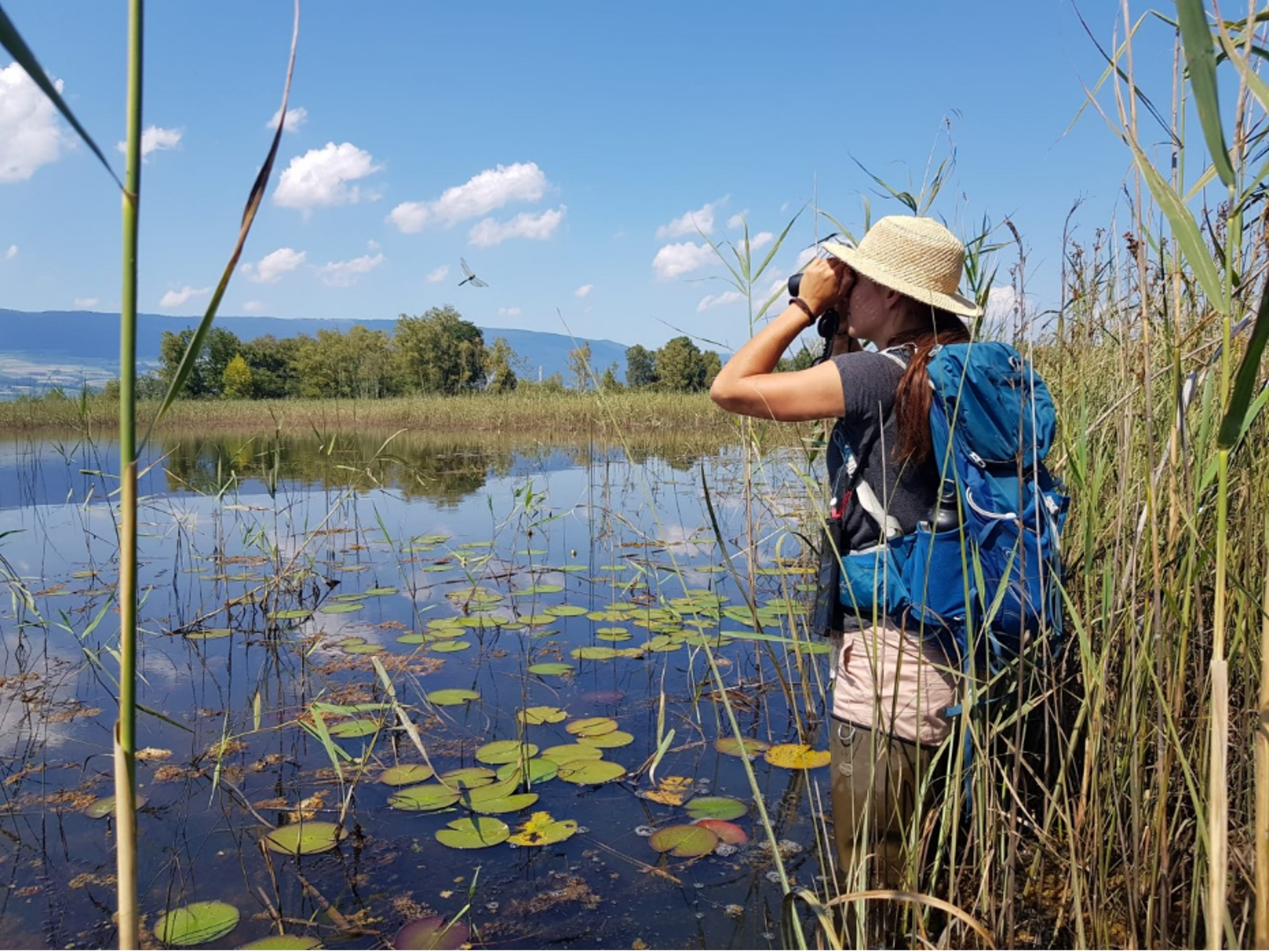 expertises faunistiques 1 1.png